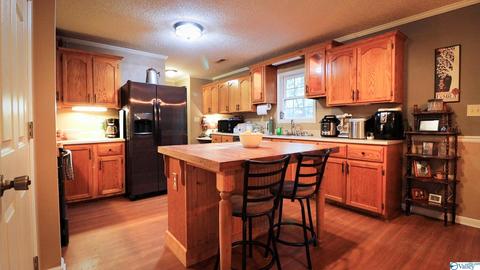 445 County Road 379, Trinity, AL 35673 photo 12