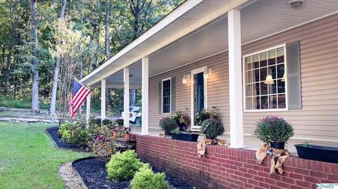 445 County Road 379, Trinity, AL 35673 photo 5