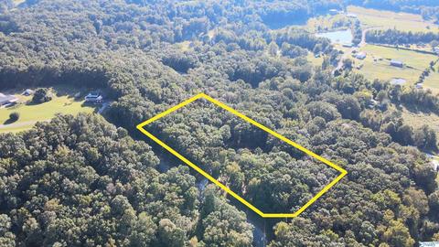 445 County Road 379, Trinity, AL 35673 photo 2