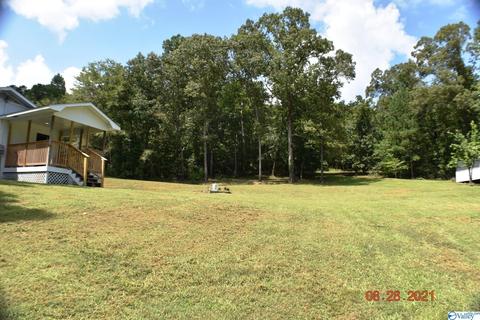 1007 Collins Rd, Ohatchee, AL 36271 photo 25