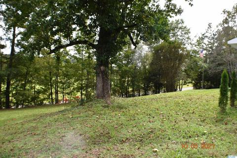 1007 Collins Rd, Ohatchee, AL 36271 photo 22