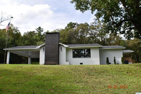 1007 Collins Rd, Ohatchee, AL 36271 photo 1