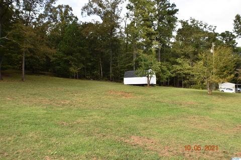 1007 Collins Rd, Ohatchee, AL 36271 photo 24