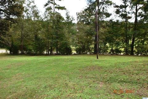 1007 Collins Rd, Ohatchee, AL 36271 photo 23