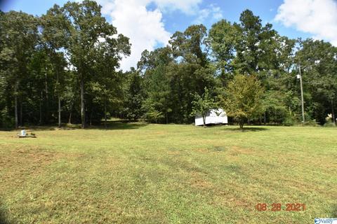 1007 Collins Rd, Ohatchee, AL 36271 photo 26