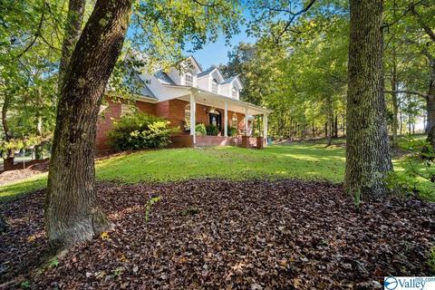 5371 Pine Mountain Rd, Remlap, AL 35133 photo 2