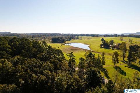 5371 Pine Mountain Rd, Remlap, AL 35133 photo 29