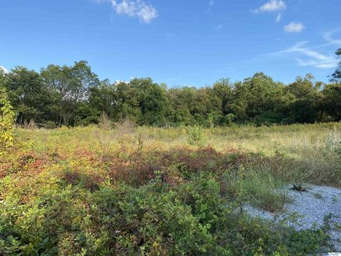 826 Sewell Rd, Trinity, AL 35673 photo 6