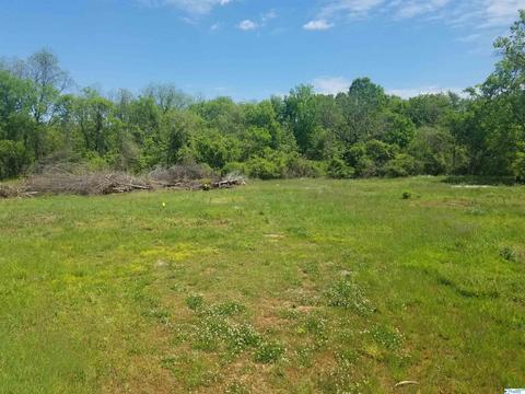 826 Sewell Rd, Trinity, AL 35673 photo 2