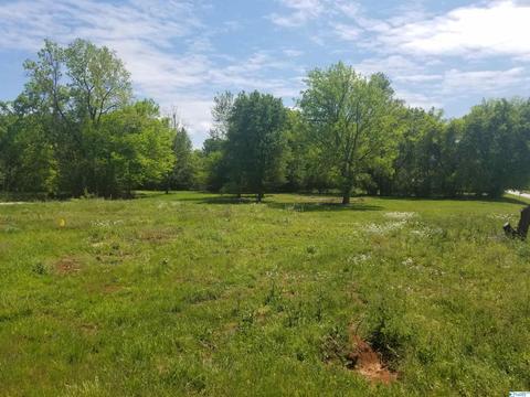 826 Sewell Rd, Trinity, AL 35673 photo 1