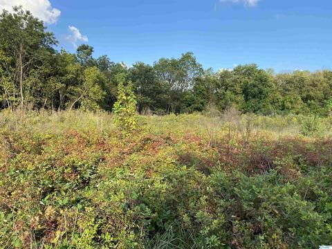 826 Sewell Rd, Trinity, AL 35673 photo 7