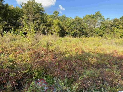 826 Sewell Rd, Trinity, AL 35673 photo 3