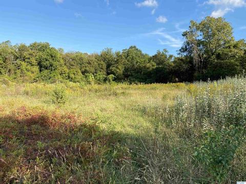 826 Sewell Rd, Trinity, AL 35673 photo 4