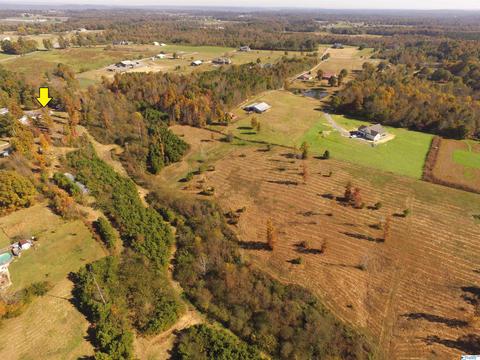 1982 Mobbs School Rd, Arab, AL 35016 photo 50