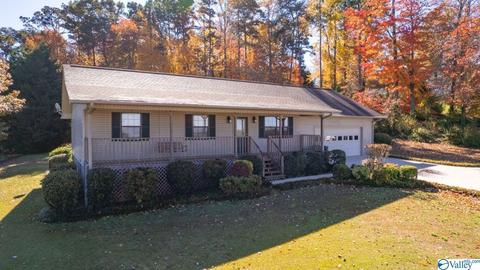 673 County Road 224, Dutton, AL 35744 photo 1