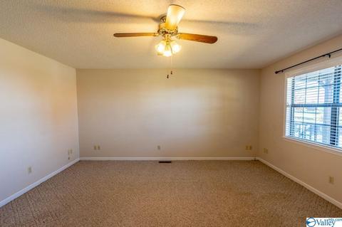 673 County Road 224, Dutton, AL 35744 photo 7