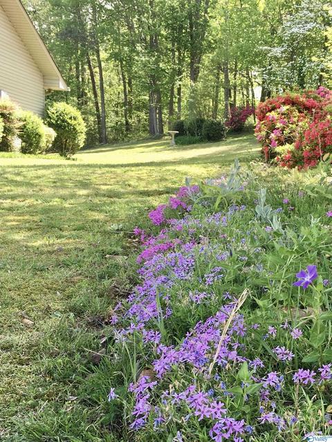 673 County Road 224, Dutton, AL 35744 photo 43