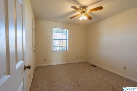 673 County Road 224, Dutton, AL 35744 photo 26