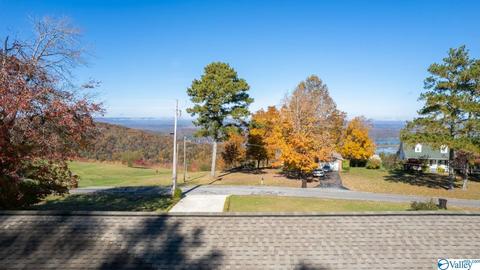 673 County Road 224, Dutton, AL 35744 photo 3