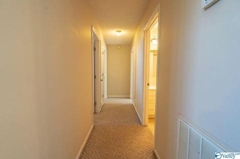 673 County Road 224, Dutton, AL 35744 photo 16