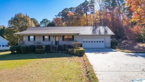 673 County Road 224, Dutton, AL 35744 photo 40