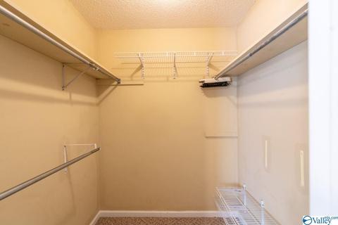 673 County Road 224, Dutton, AL 35744 photo 30