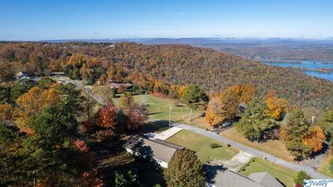 673 County Road 224, Dutton, AL 35744 photo 46