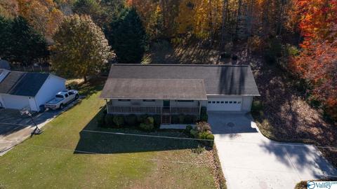 673 County Road 224, Dutton, AL 35744 photo 44