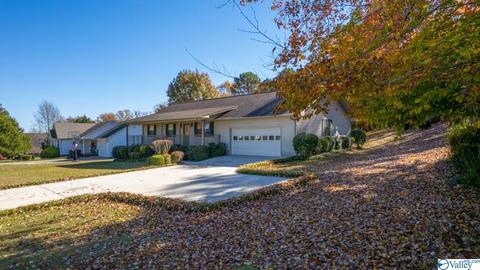 673 County Road 224, Dutton, AL 35744 photo 42