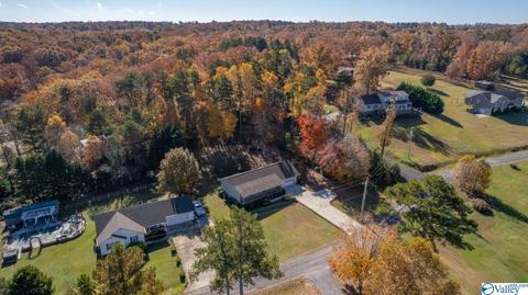 673 County Road 224, Dutton, AL 35744 photo 49