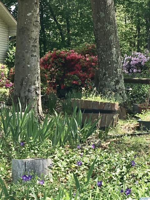 673 County Road 224, Dutton, AL 35744 photo 39
