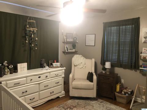 65 N Seneca Dr, Trinity, AL 35673 photo 8
