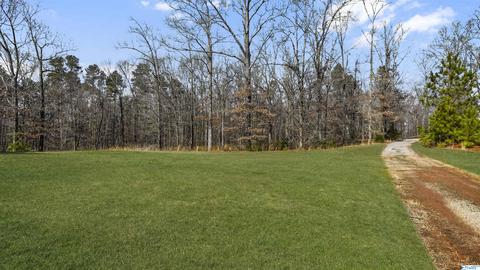 2188 E Upper River Rd, Decatur, AL 35603 photo 33