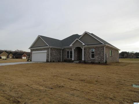 95 Mountain Cove Dr, Trinity, AL 35673 photo 3