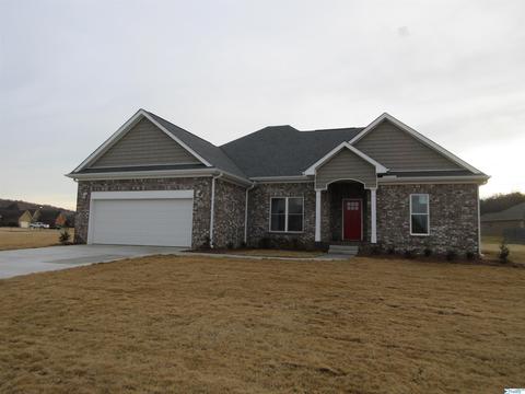 95 Mountain Cove Dr, Trinity, AL 35673 photo 1