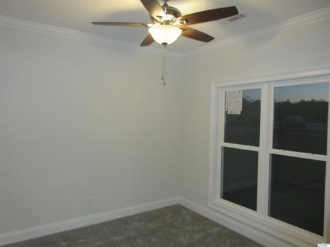 95 Mountain Cove Dr, Trinity, AL 35673 photo 32