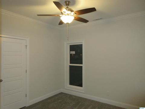 95 Mountain Cove Dr, Trinity, AL 35673 photo 35