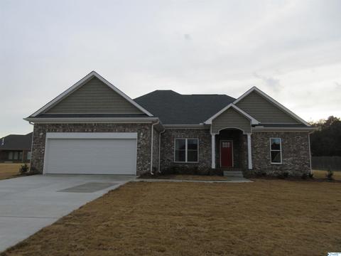 95 Mountain Cove Dr, Trinity, AL 35673 photo 2