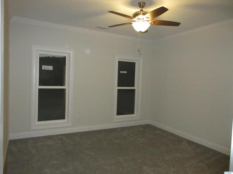 95 Mountain Cove Dr, Trinity, AL 35673 photo 18