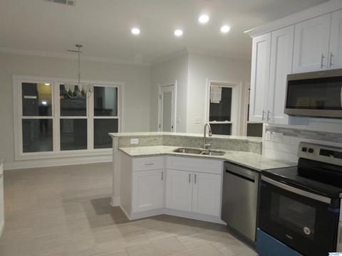 95 Mountain Cove Dr, Trinity, AL 35673 photo 9