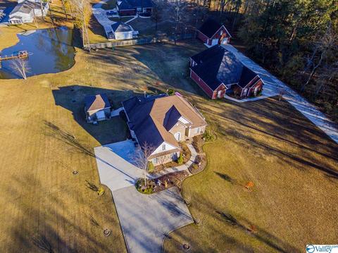 3144 County Road 217, Trinity, AL 35673 photo 32