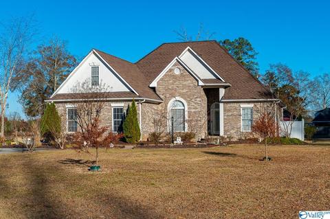 3144 County Road 217, Trinity, AL 35673 photo 1