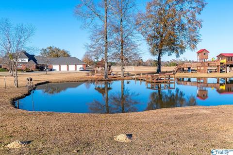 3144 County Road 217, Trinity, AL 35673 photo 29