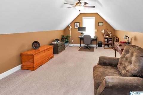3144 County Road 217, Trinity, AL 35673 photo 22
