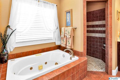 3144 County Road 217, Trinity, AL 35673 photo 17