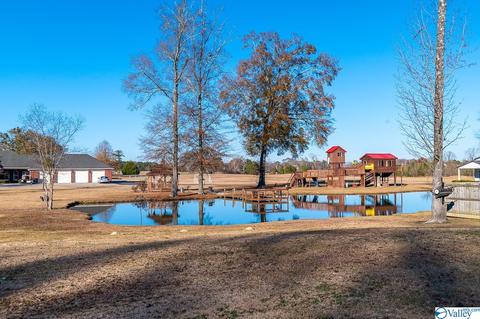 3144 County Road 217, Trinity, AL 35673 photo 28