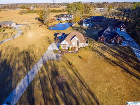 3144 County Road 217, Trinity, AL 35673 photo 31