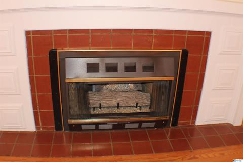 315 3rd Ave, Glencoe, AL 35905 photo 7