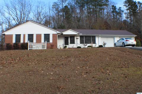 315 3rd Ave, Glencoe, AL 35905 photo 1