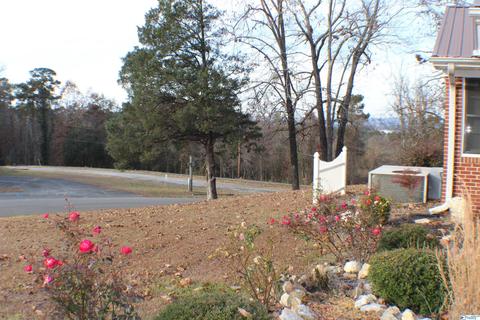 315 3rd Ave, Glencoe, AL 35905 photo 3